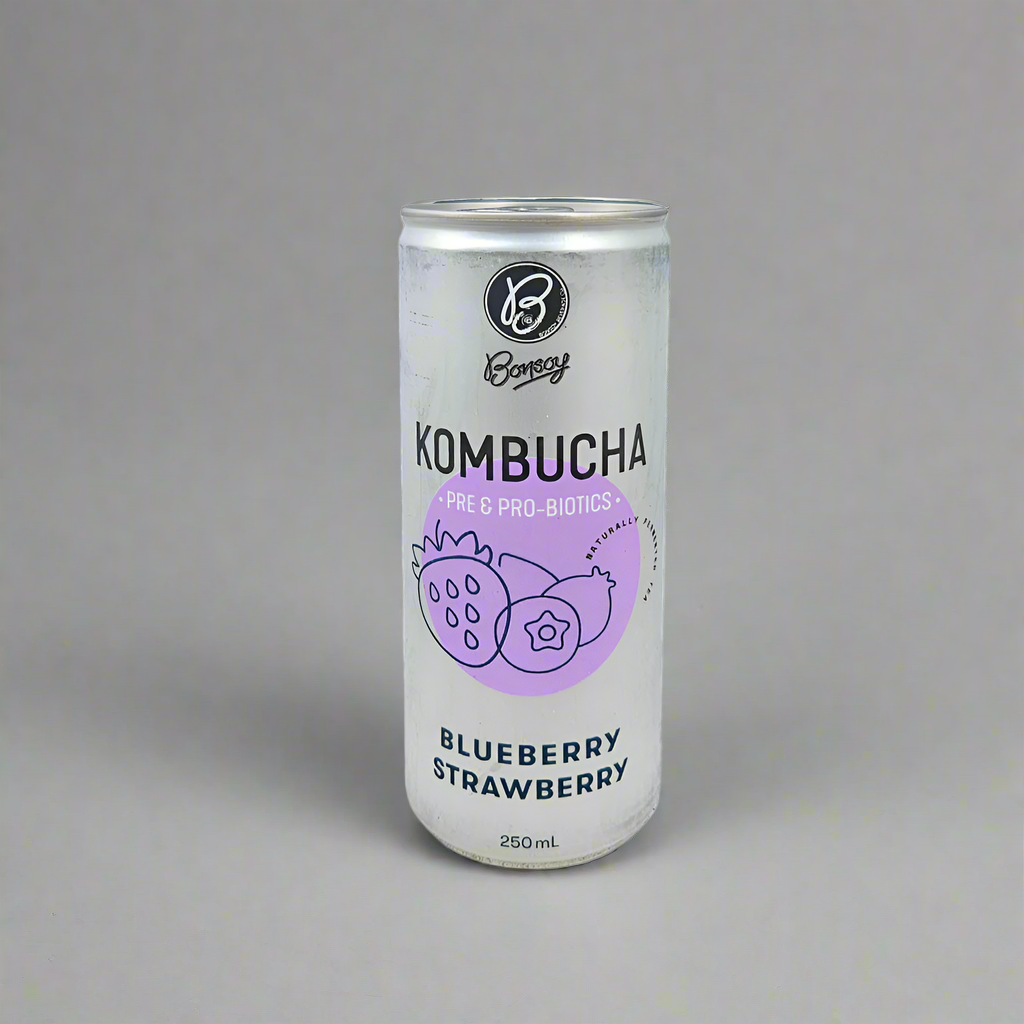 Bonsoy Kombucha Blueberry Strawberry 250ml Can