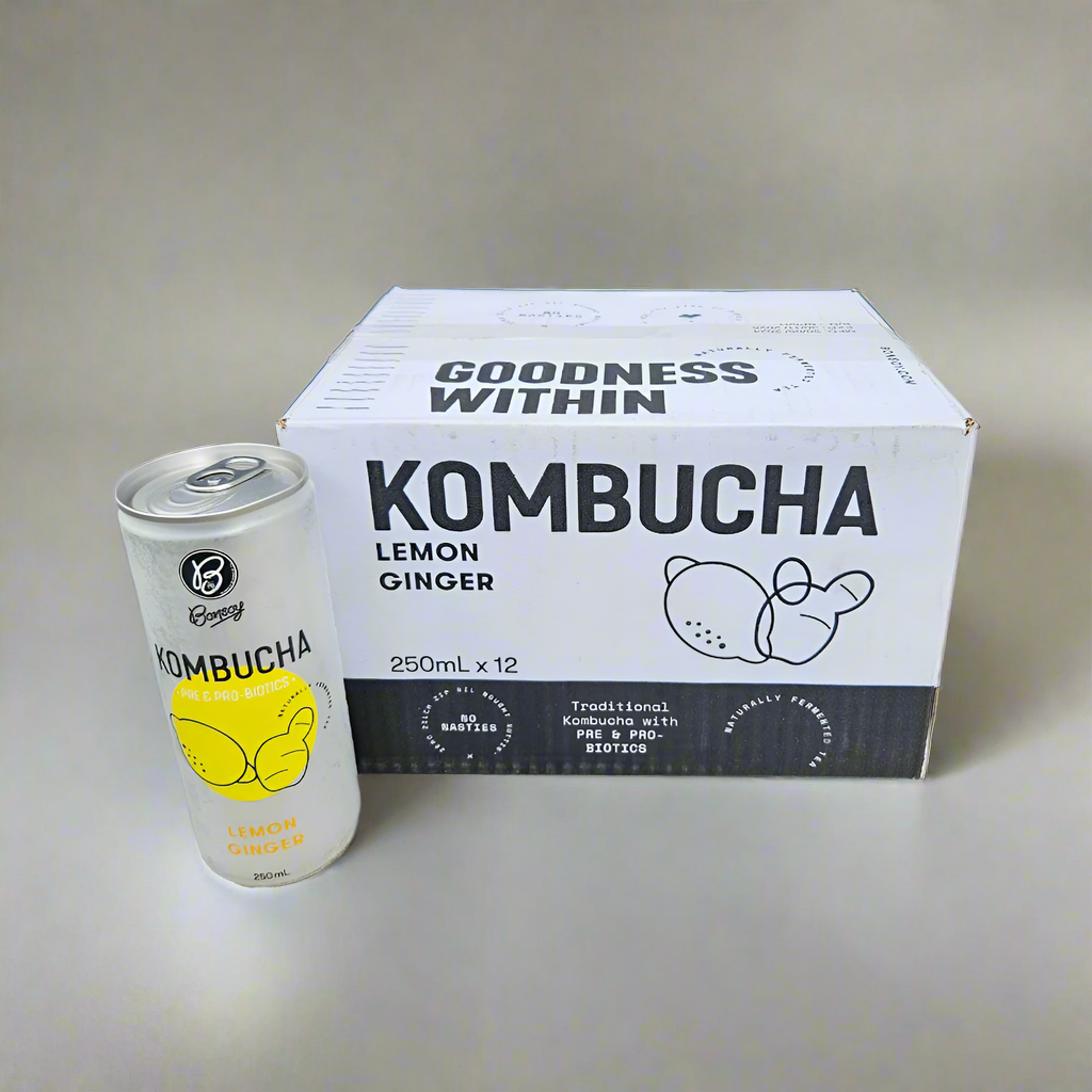 Kombucha can and box with lemon ginger flavor on a neutral background