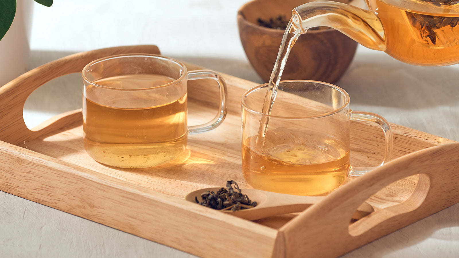 Best Sellers – Tea Journeys