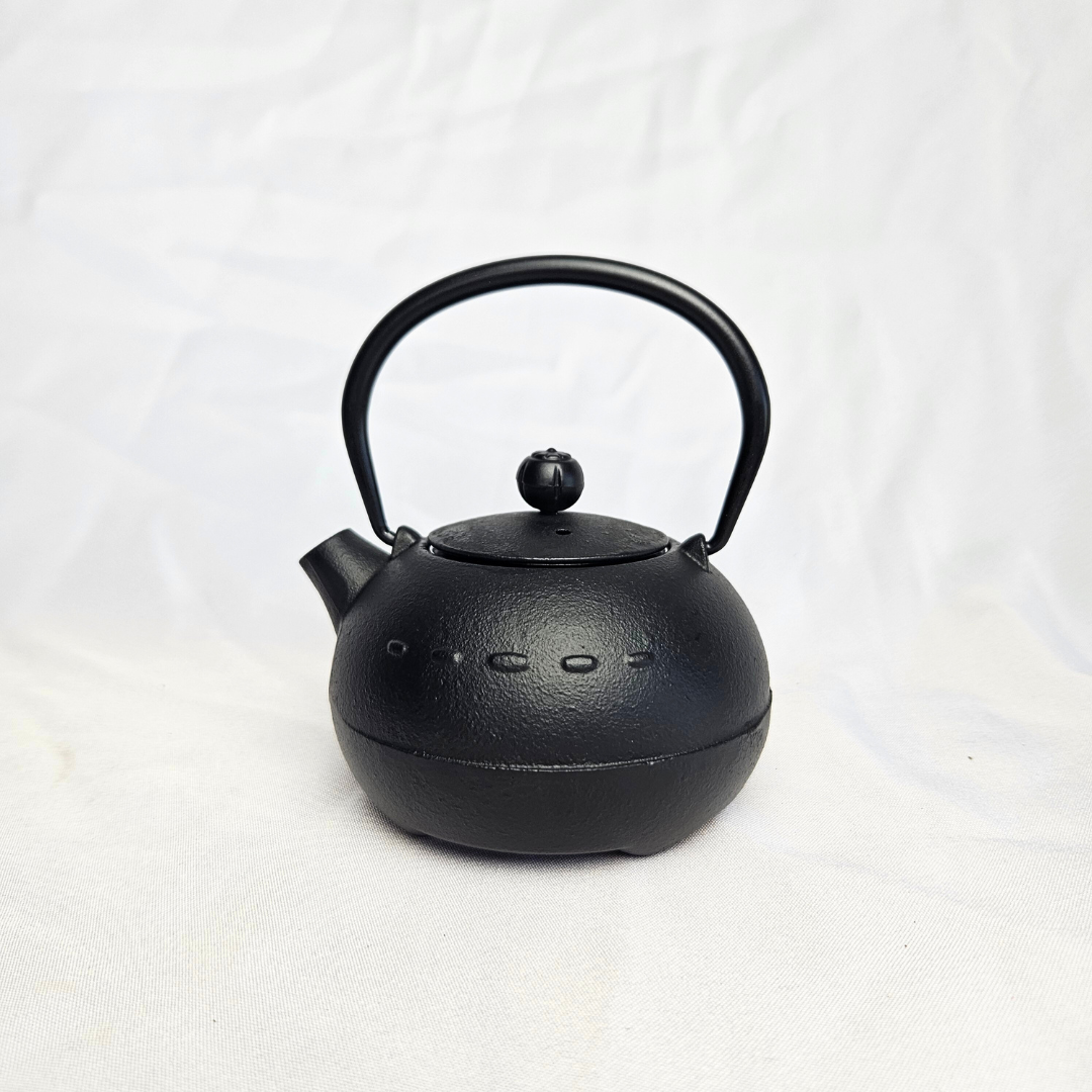 Decorative Cast Iron Teapot 250ml | Style 3