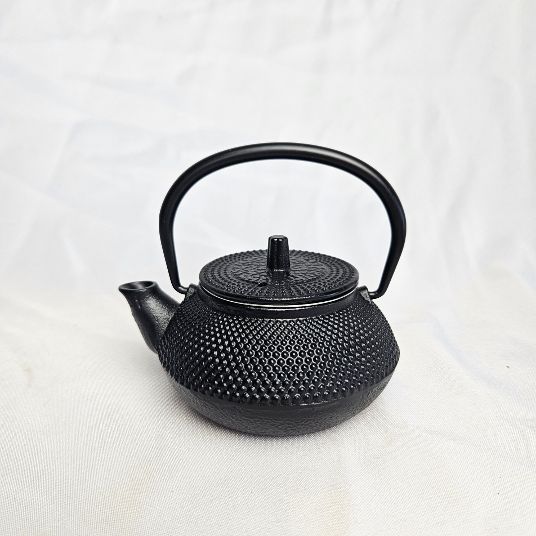 Decorative Cast Iron Teapot 250ml | Style 1