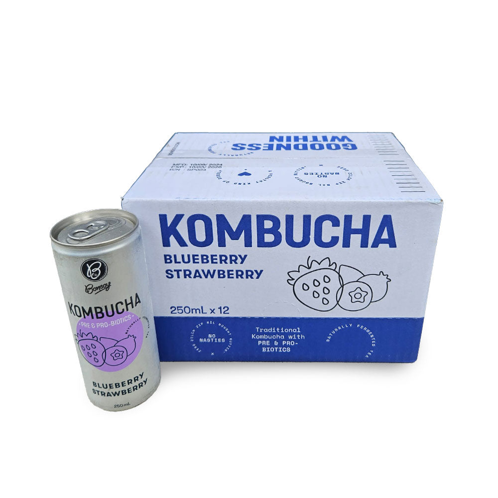 Bonsoy Kombucha Blueberry Strawberry