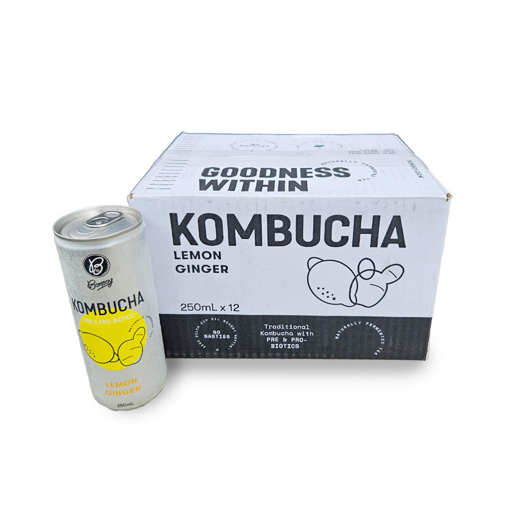 Bonsoy Kombucha Lemon Ginger