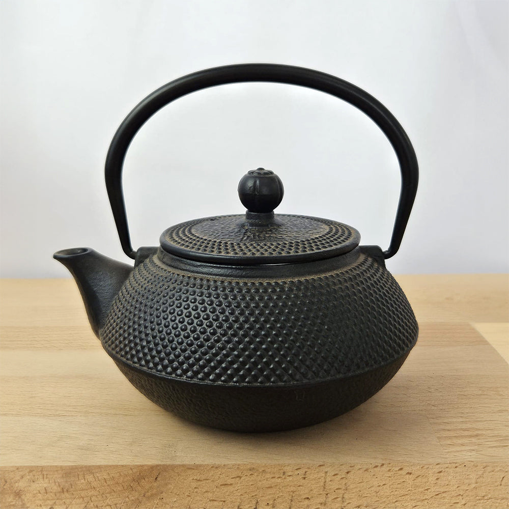 Cast Iron Teapot
