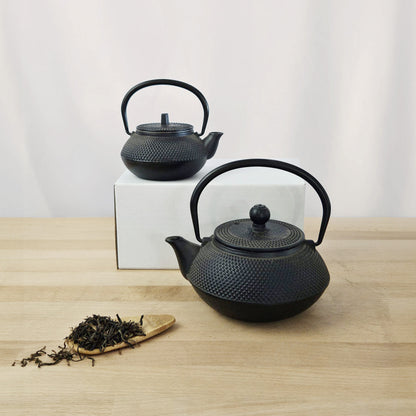 Cast Iron Teapot