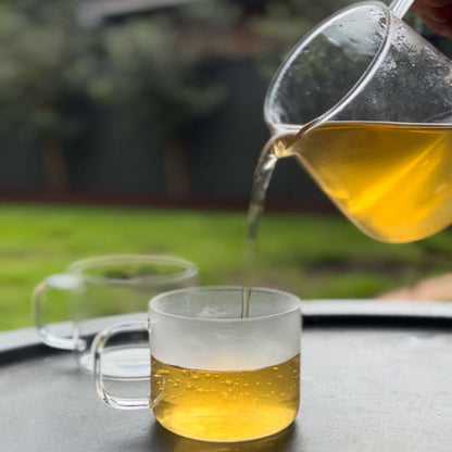 Stainless Steel Glass Teapot & Tea Cups Set