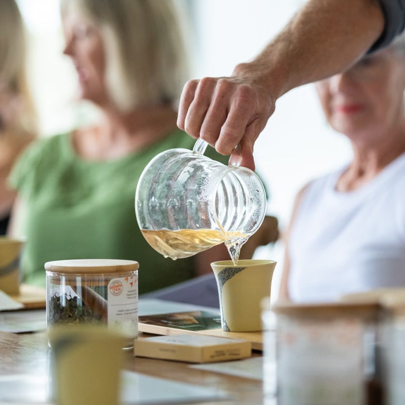 TEA TRAINING - The World of Tea Illuminated