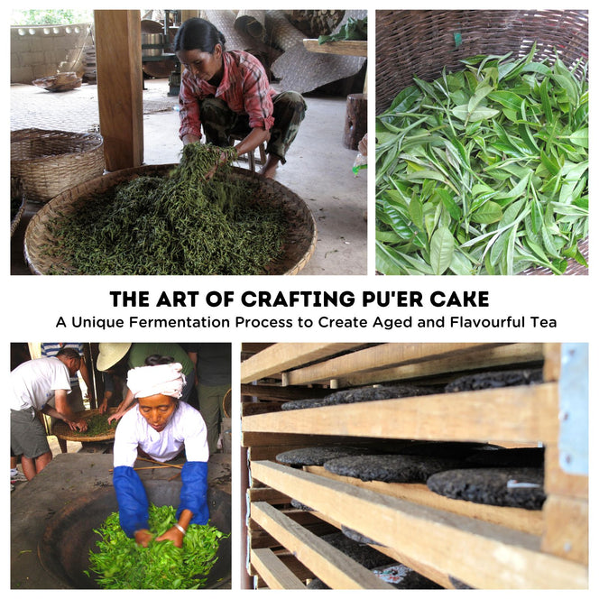 A unique fermentation process to create aged and flavourful tea