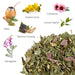 Immunity Herbal Blend - Mate, Mullein Herb, echinacea, lemon myrtle, ginseng Astragalus